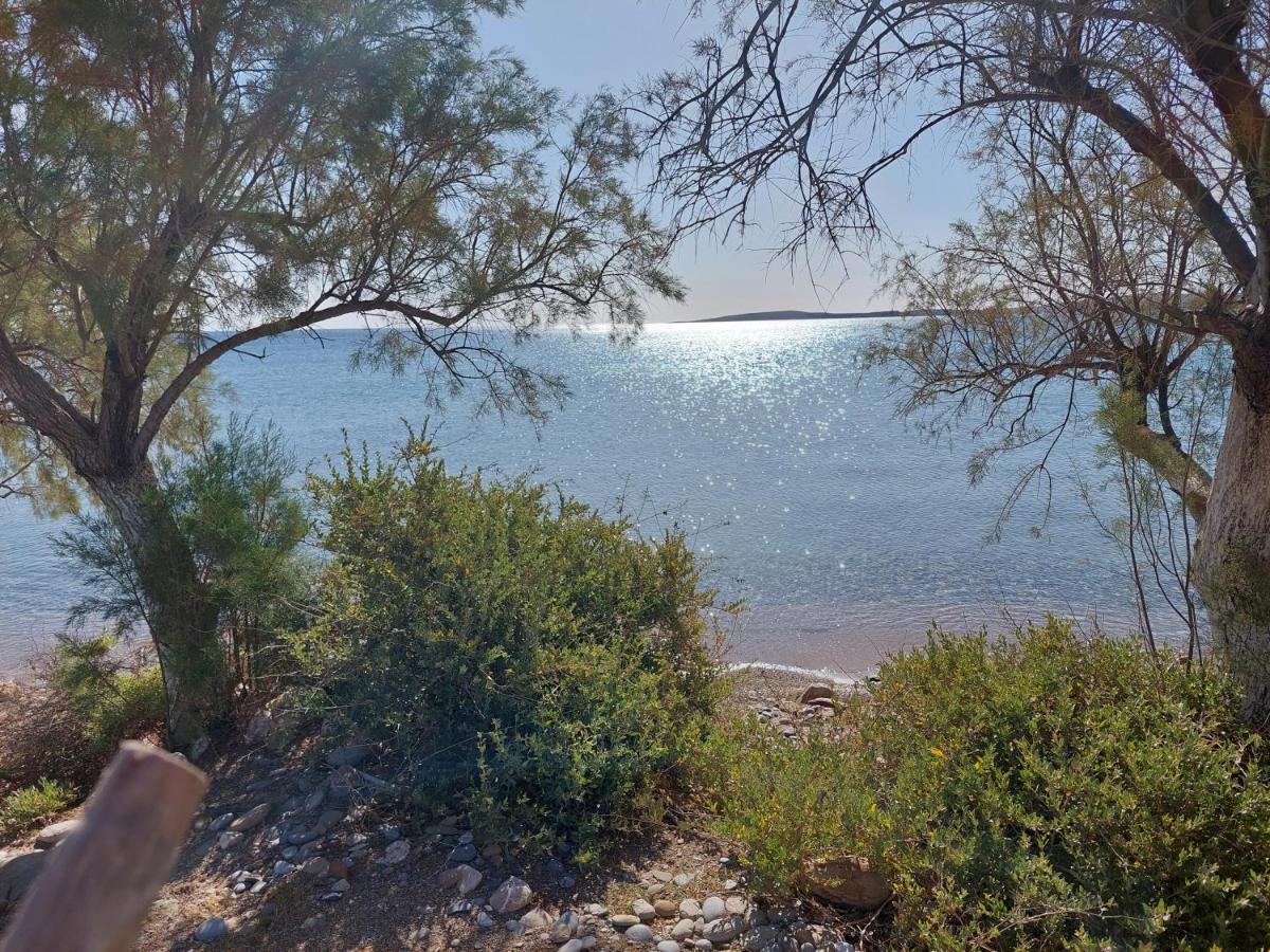 Olivar Suites Palekastro Dış mekan fotoğraf
