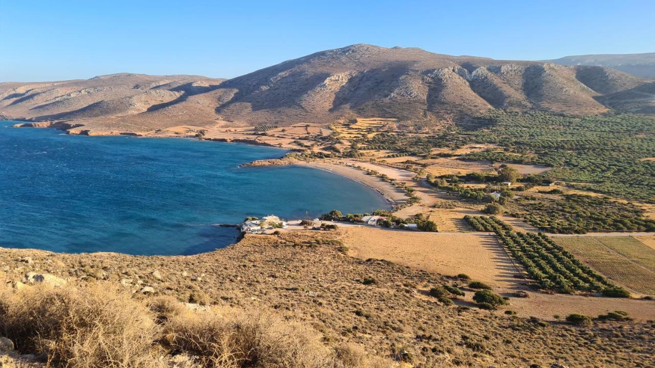 Olivar Suites Palekastro Dış mekan fotoğraf
