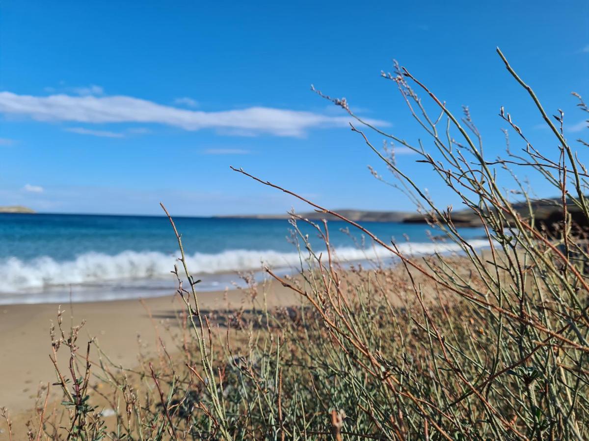Olivar Suites Palekastro Dış mekan fotoğraf
